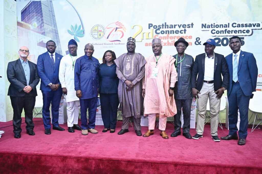 Cassava Industrialization In Nigeria